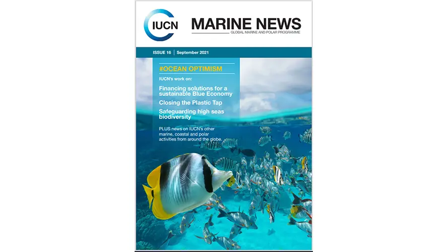 Marine News Issue 16