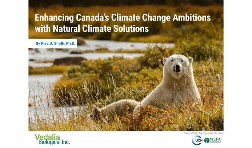 Enhancing Canada's Climate Change ambitions with Natural Solutions  report