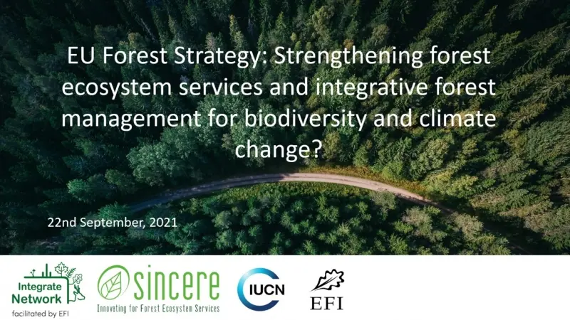 EU Forest Strategy event