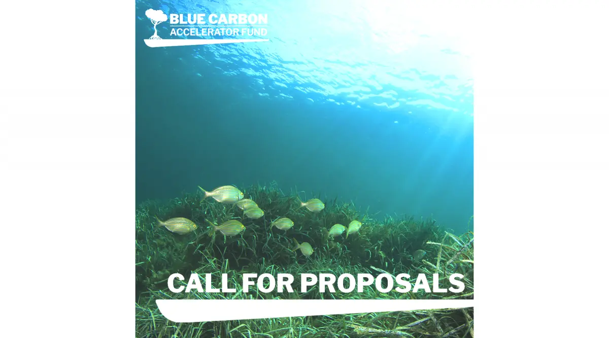 Blue Carbon Accelerator Fund Readiness Support call