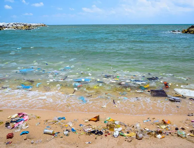 Adobe Stock Image, beach with plastic pollution