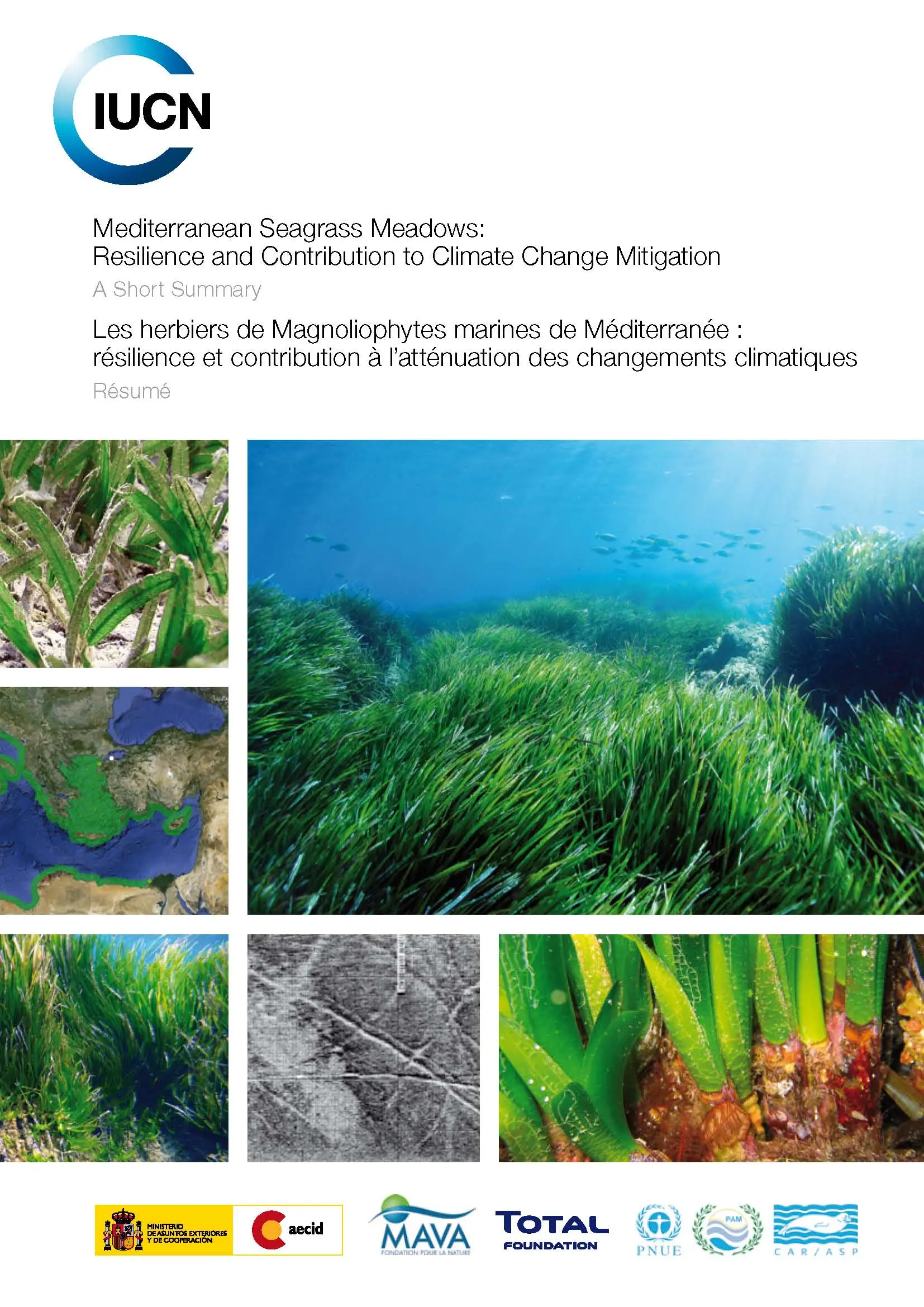Mediterranean Seagrass Meadows:
Resilience and Contribution to Climate Change Mitigation