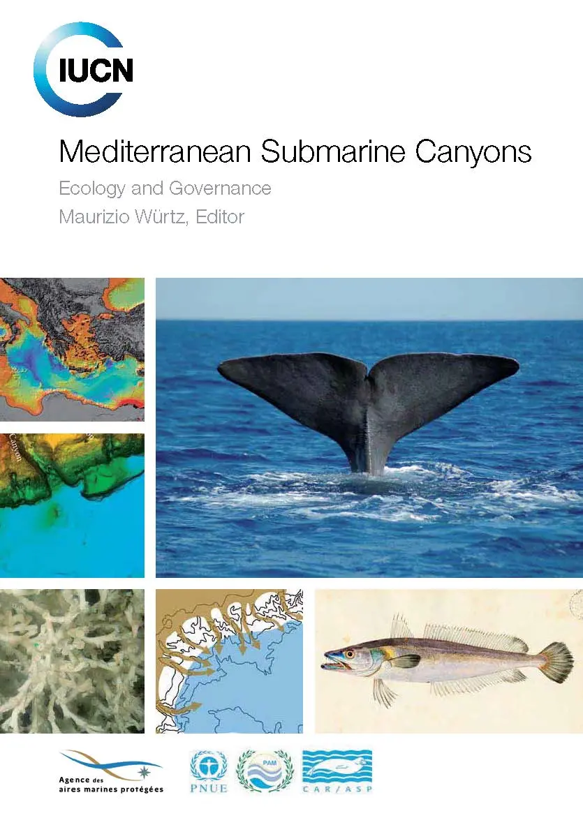 Mediterranean Submarine Canyons