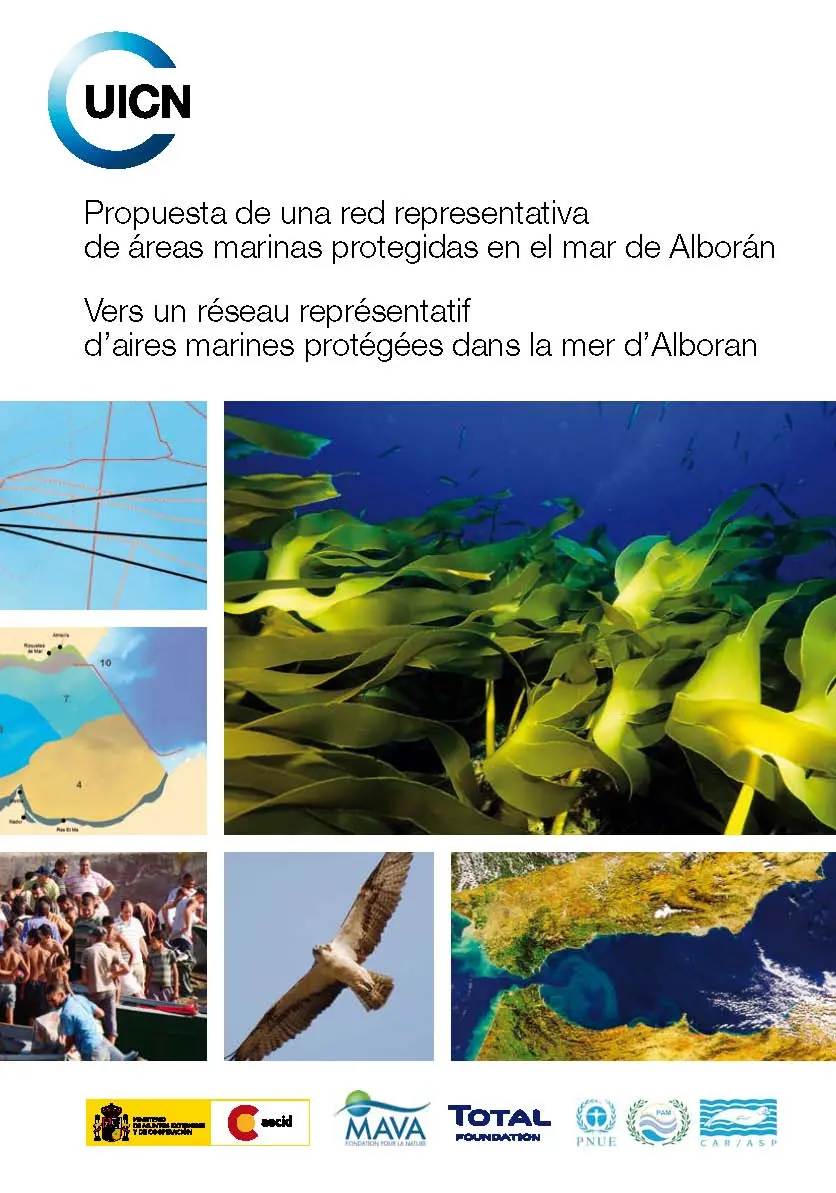 Propuesta de una red representativa de áreas marinas protegidas en el mar de Alborán = Vers un réseau représentatif d'aires marines protégées dans la mer d'Alboran