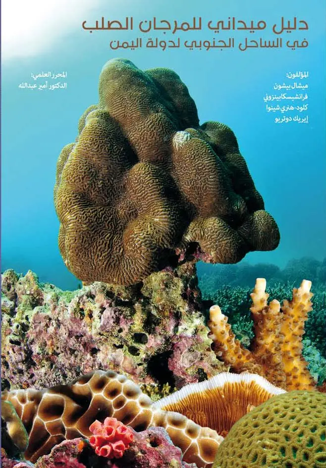 Field guide to the hard corals of the southern coast of Yemen