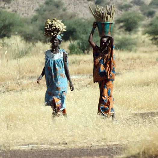 Women on their way to market, Mali.
