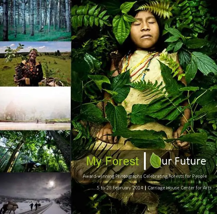 The My Forest |Our Future Exhibition at the Gabbaron Foundation in New York, NY will feature inspiring photographs from forests all month.