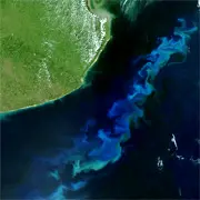 Phytoplankton bloom off Argentina.