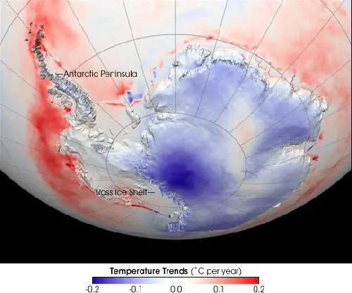 Antarctic Temp Trend 1982-2004
