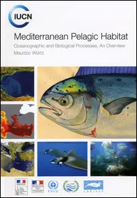 Mediterranean pelagic habitat