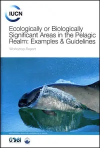 Ecologically or Biologically Significant Areas in the Pelagic Realm: Examples & Guidelines