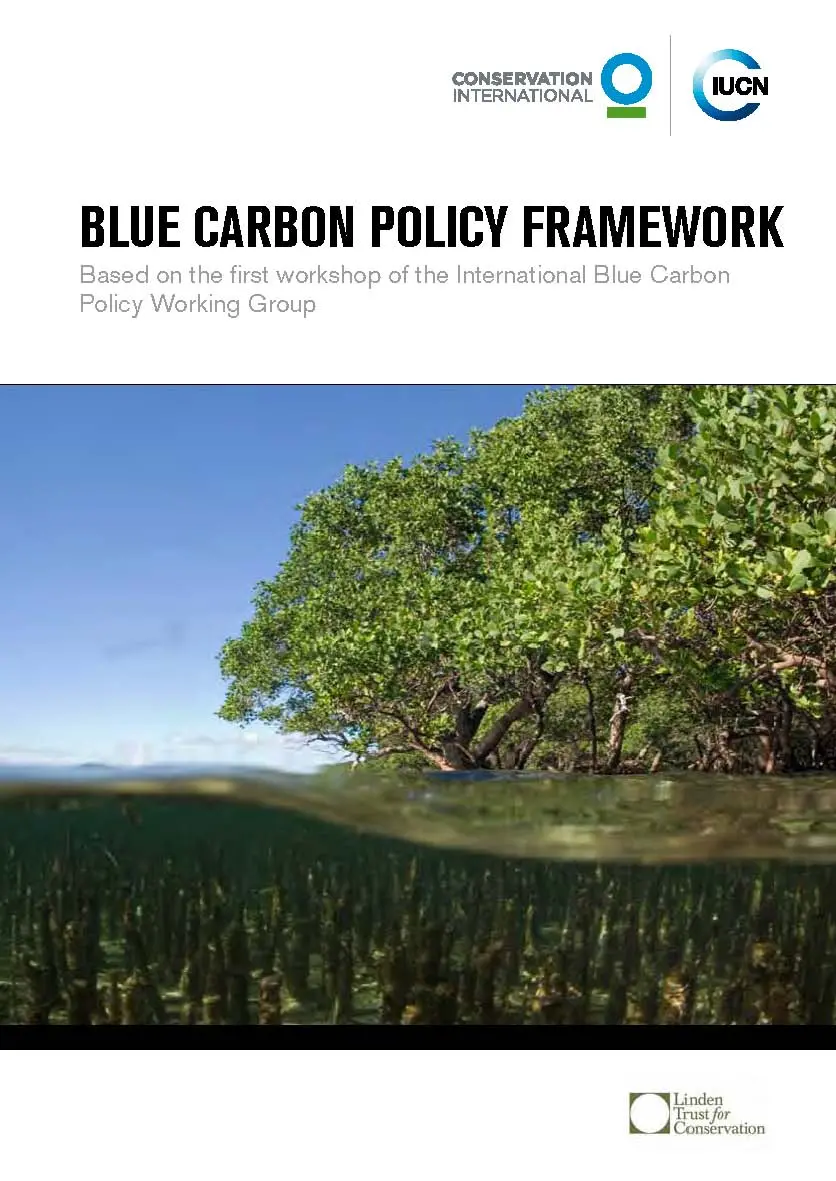 Blue Carbon Policy Framework report
