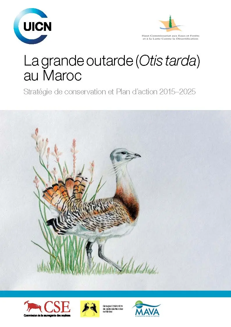 Publication La Grande ourtade (Otis tarde) au Maroc
