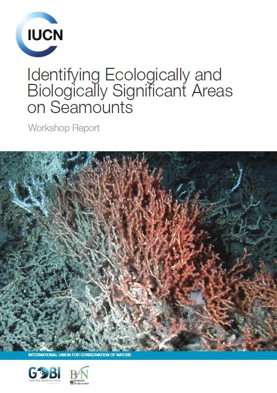 Identifying Ecologically and Biologically Significant Areas on Seamounts - Workshop report