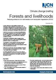 Forest and Livelihoods