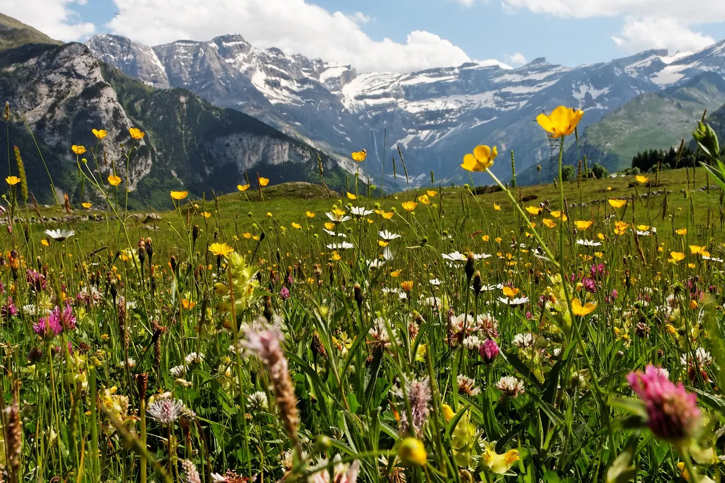 The French Pyrenees National Park has been confirmed as a Green List site