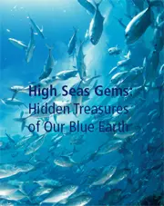 High Seas Gems - Hidden Treasures
of Our Blue Earth