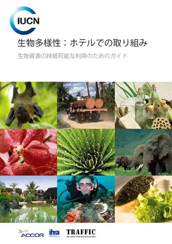 Cover of hotel guide in Japanese