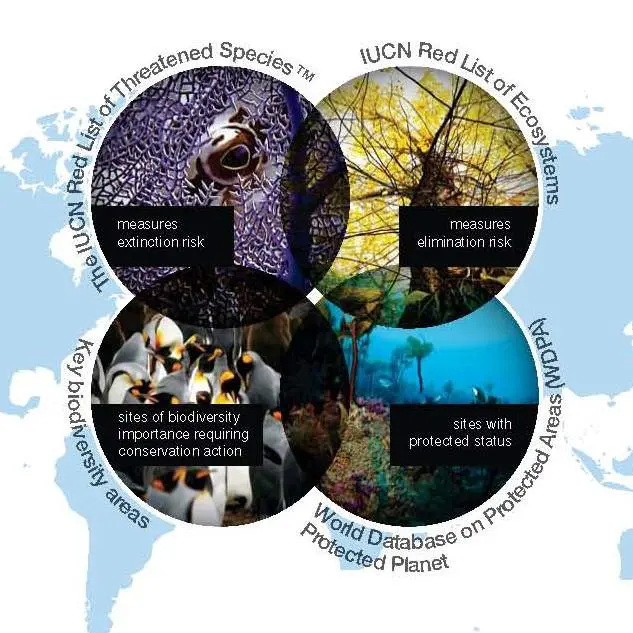 Cover - IUCN Knowledge Products brochure