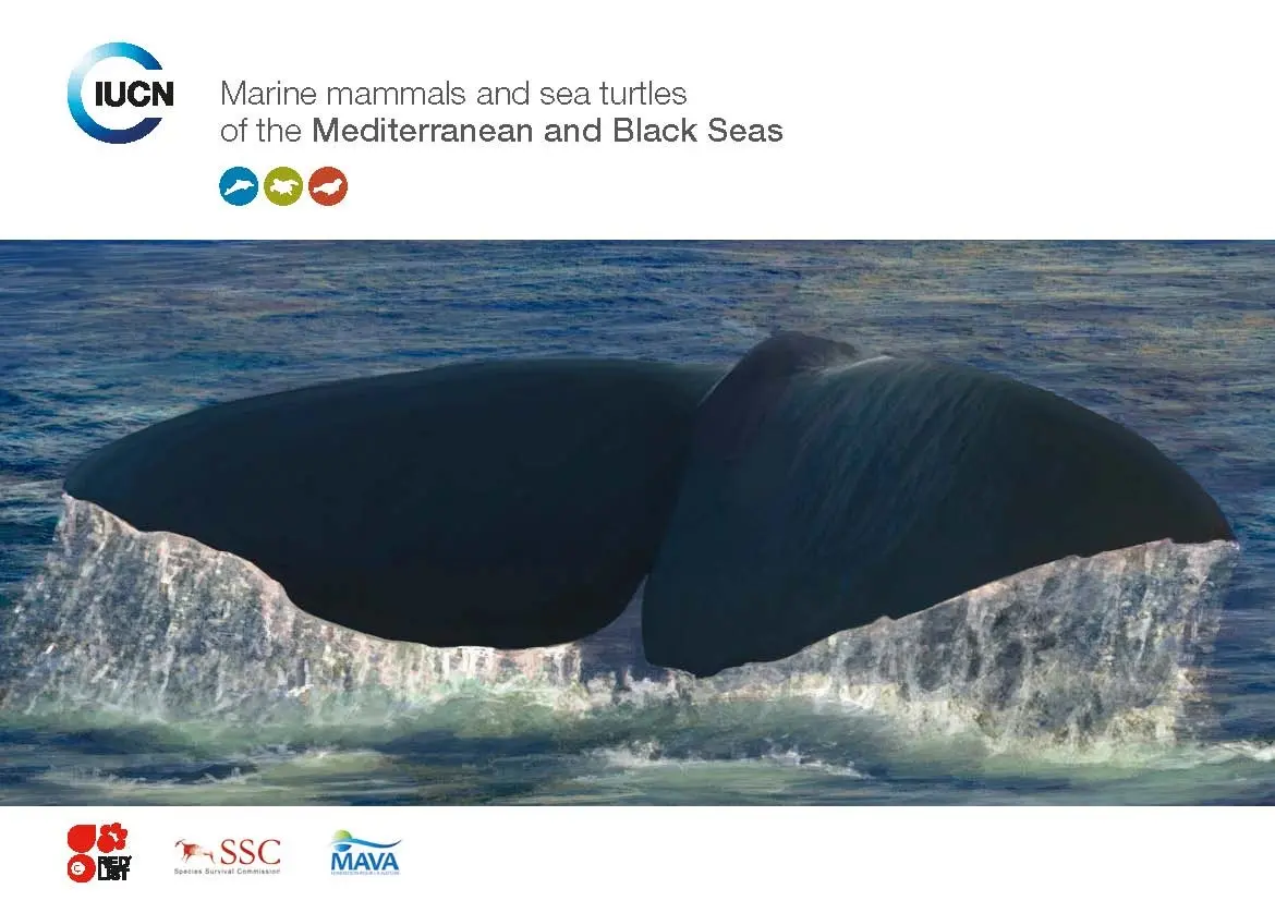 Marine mammals and sea turtles of the Mediterranean and Black Seas