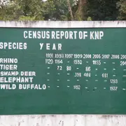 Wildlife census, Kaziranga National Park, India