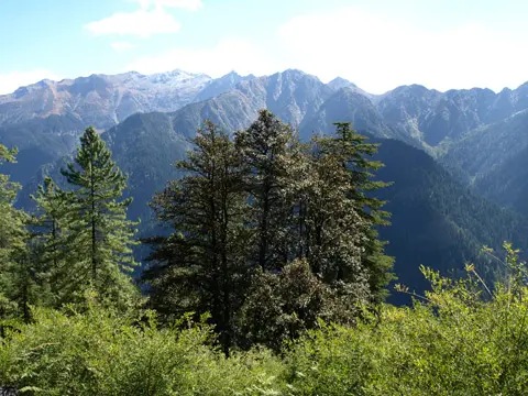 Great Himalayan National Park Conservation Area, India.