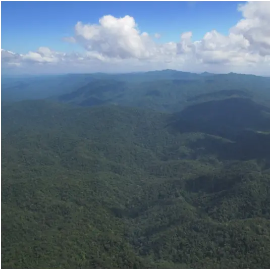 Arial view of dense forest cover in the Core Zone, Rio Platano.