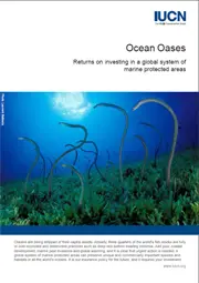 Ocean Oases: Returns on investing in a global system of marine protected areas