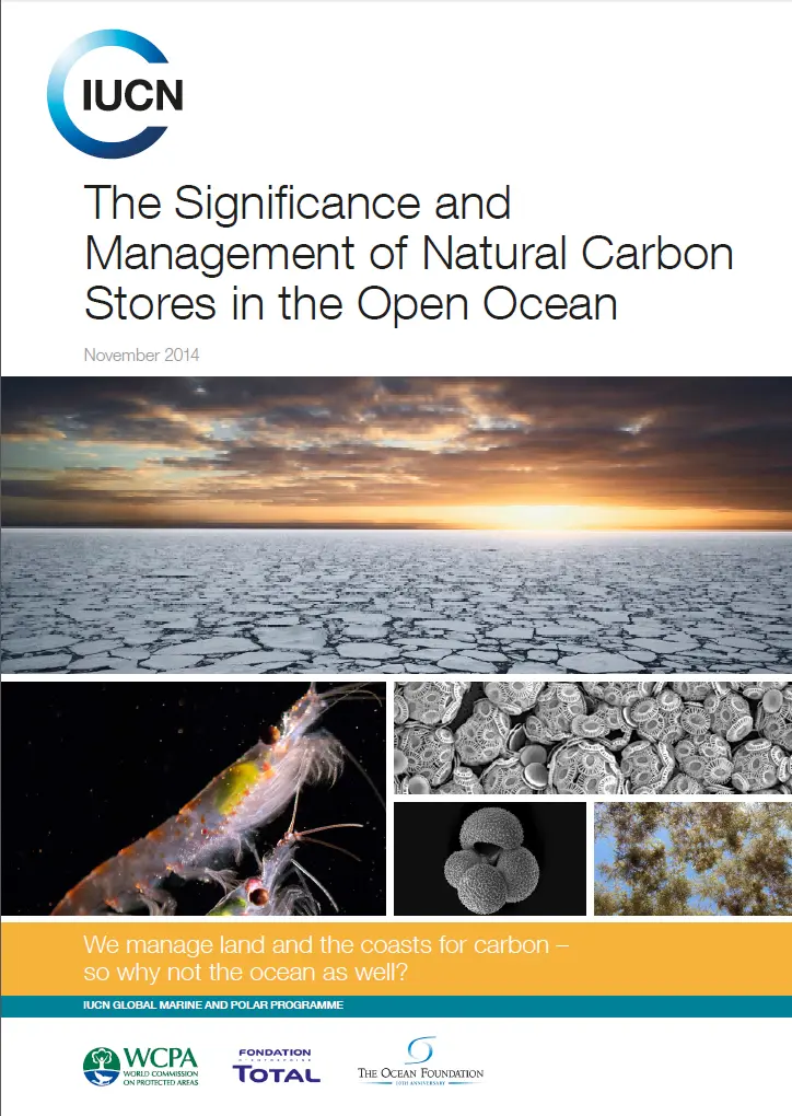 The significance and Management of Natural Carbon Stores in the Open Ocean