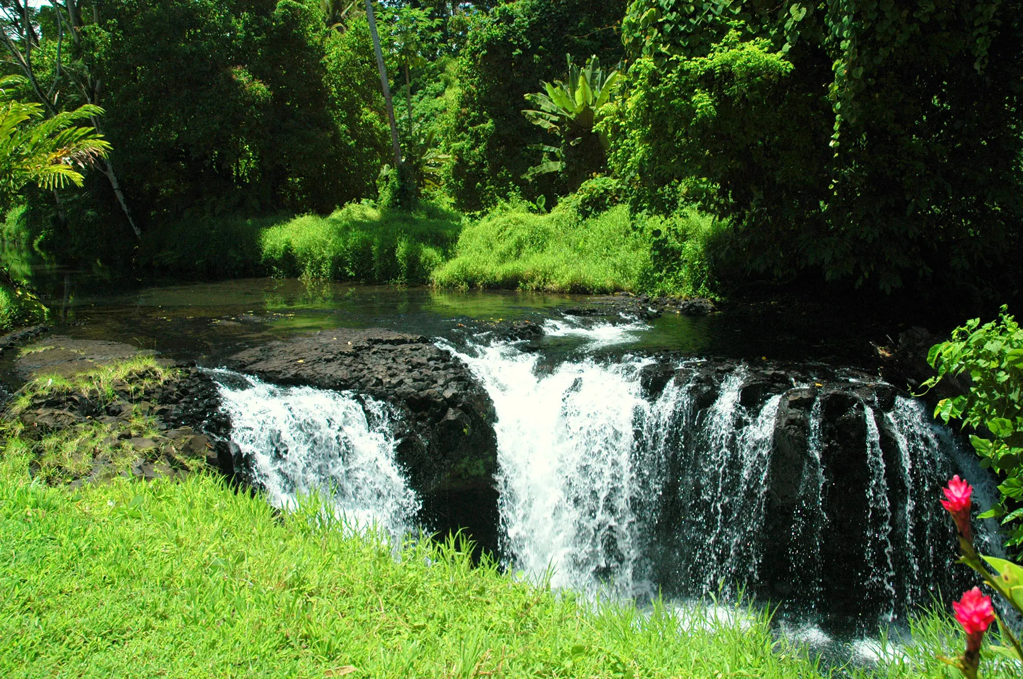 Waterfalls in Togitogiga Reserve, Samoa