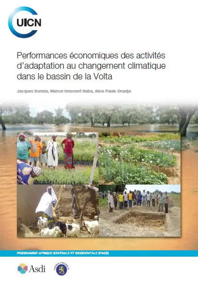 Performances économiques des activités
d’adaptation au changement climatique
dans le bassin de la Volta