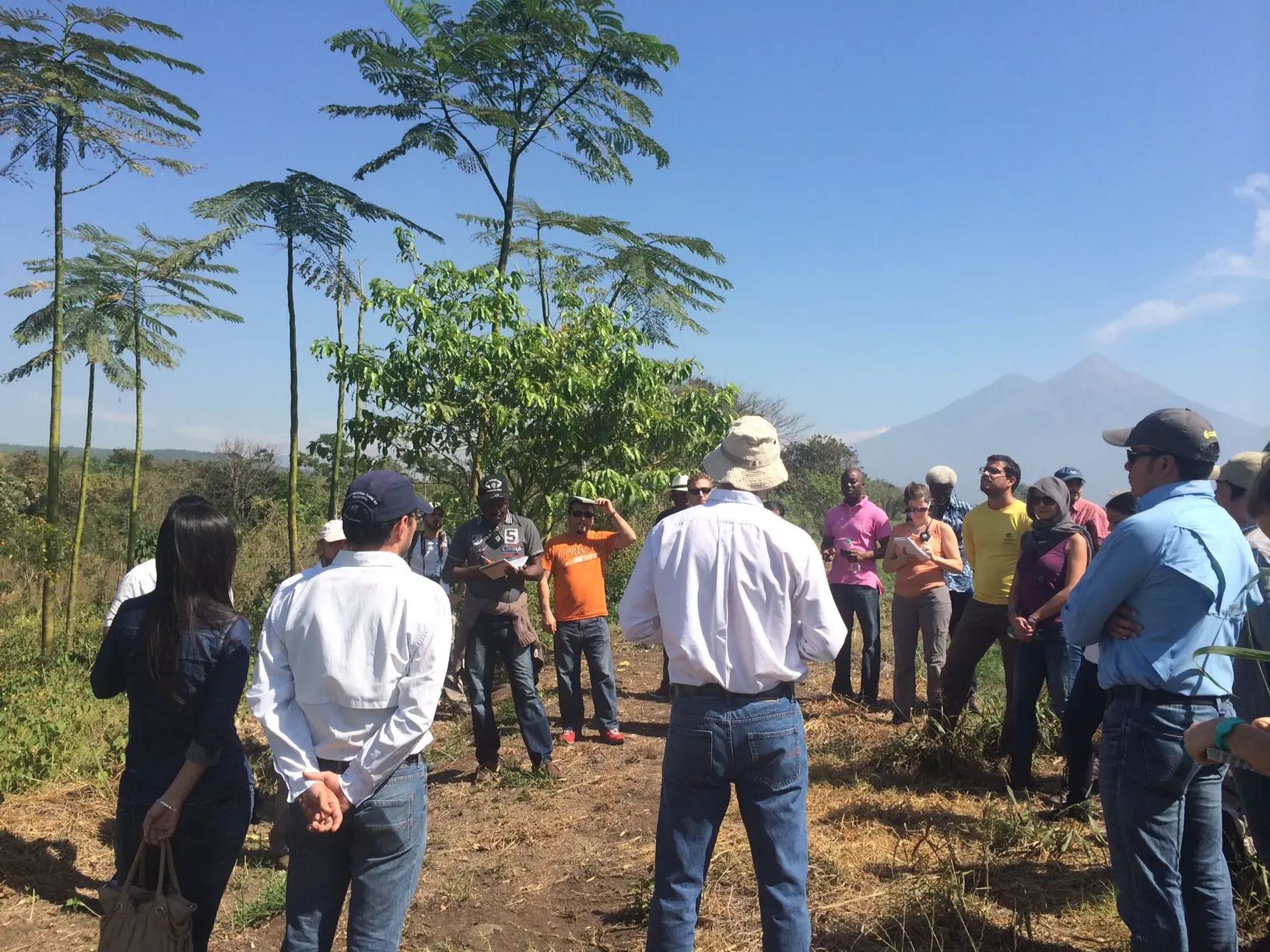 Practitioners came together last month to share experiences on financing restoration. In Guatemala the sugar cane industry has financed restoration around productive fields to protect local water supplies.