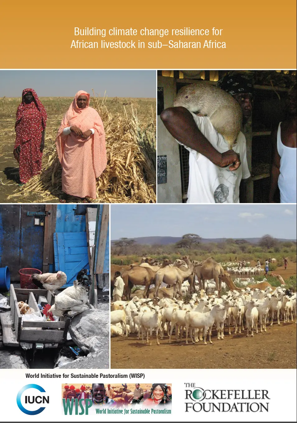 Climate Change Resilience Publication