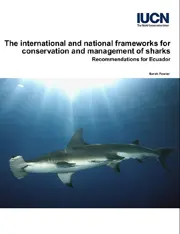 The International and National Framework for Conservation and Management of Sharks: Recommendations for Ecuador
