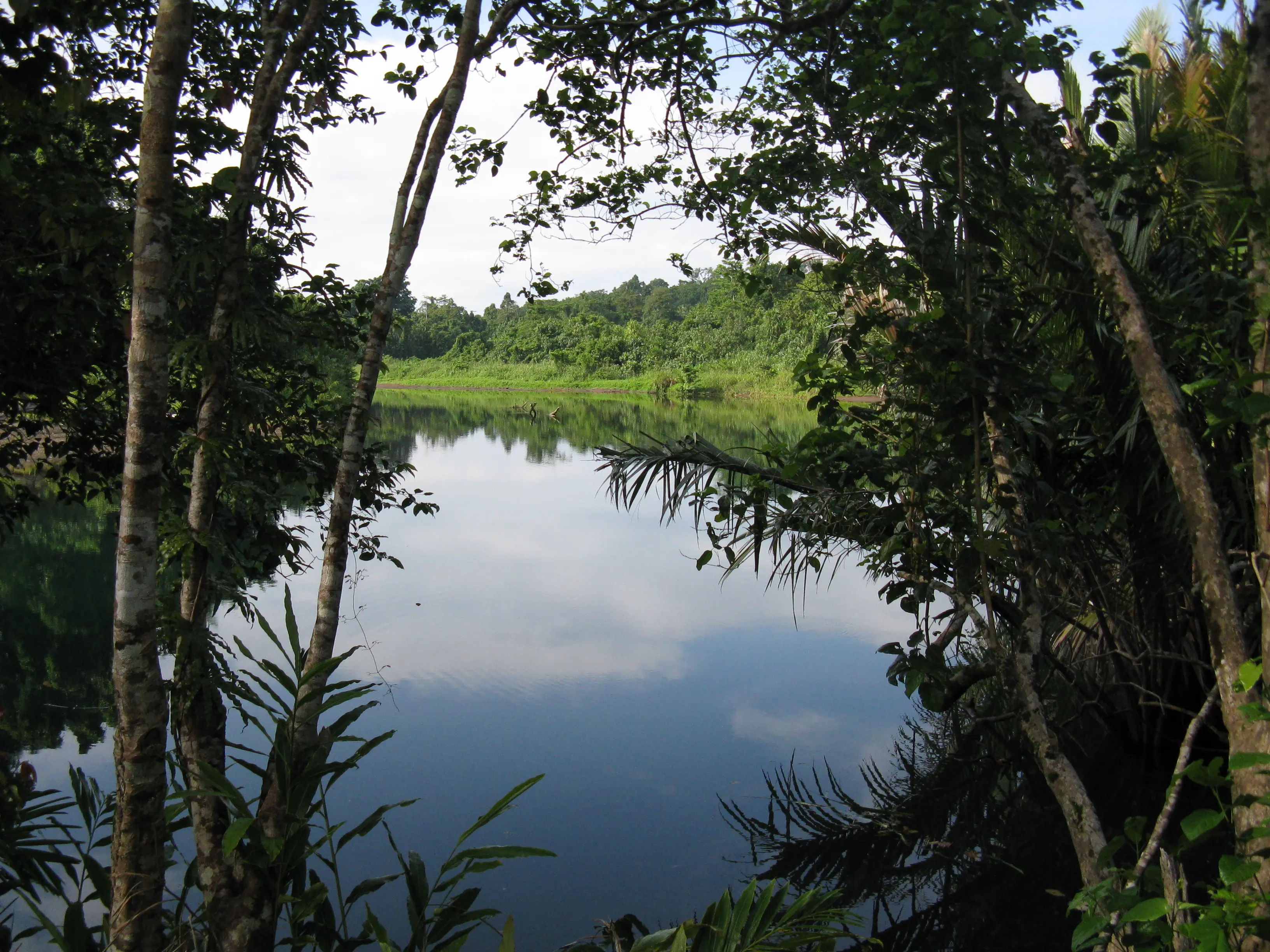 Tavolo River in Tavolo Wildlife Management Area Papua New Guinea