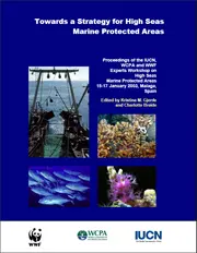 Towards a Strategy for High Seas Marine Protected Areas