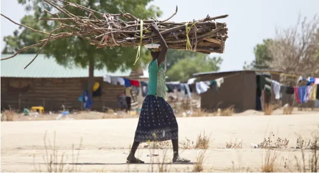 In South Sudan, a woman carries a heavy load of firewood on her head. As with many parts of the world, women and girls are responsible for collecting water and firewood, facing the risk of gender-based violence en route.