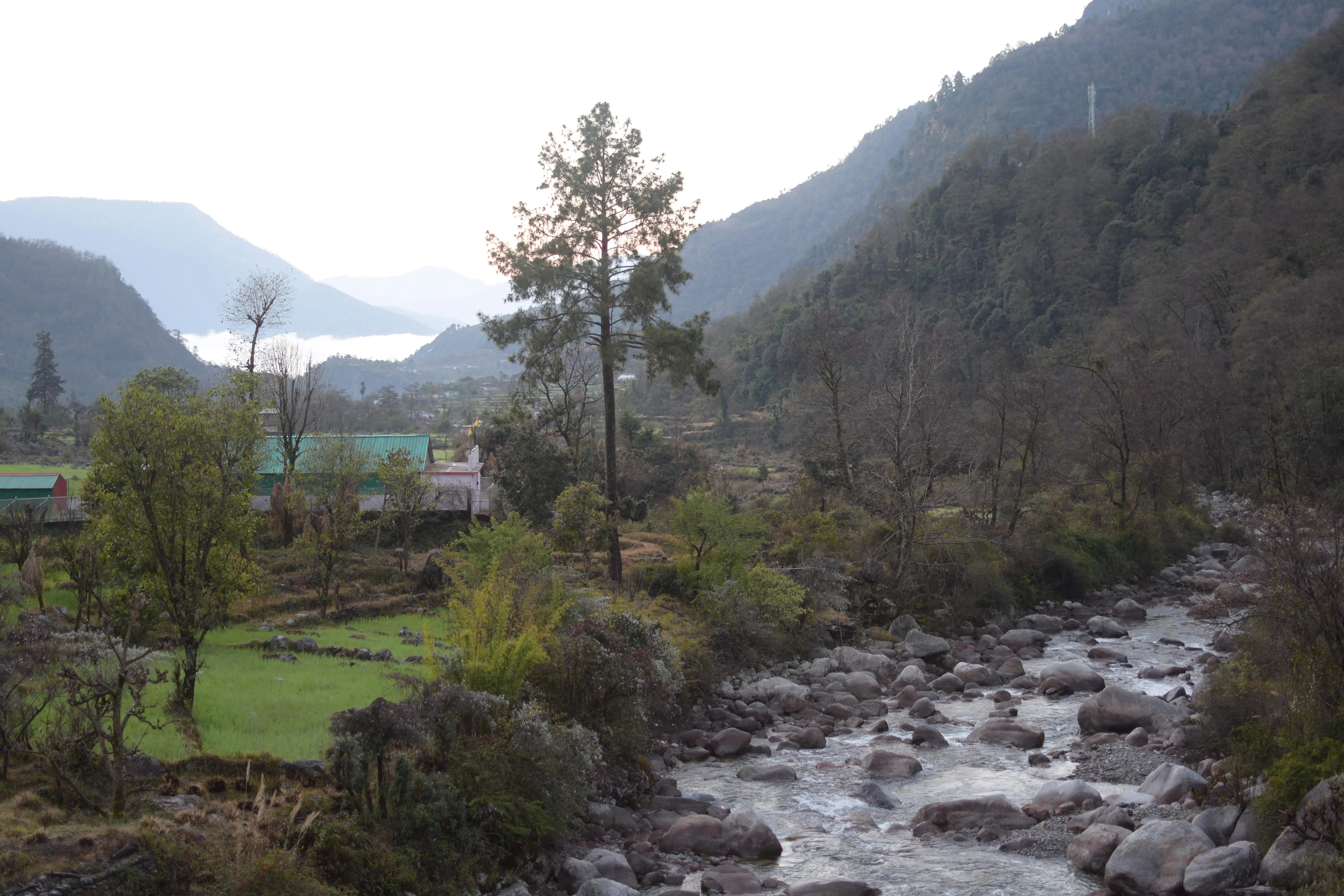 River, forest, water, IMFN, india, himalaya